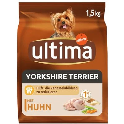 Ultima Dog Yorkshire 1 Ultima Dog Yorkshire