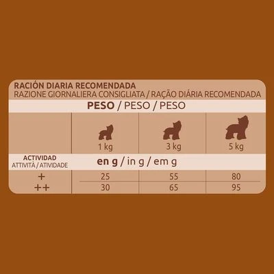 Ultima Dog Yorkshire 4 Ultima Dog Yorkshire - Image 4