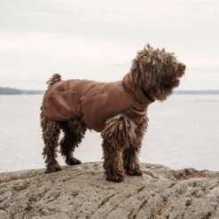 Hurtta Bare Softshell Dog Coat - Chocolate -Perfect Care Shop 247796 247797 247896 247897 247898 247899 bestfriend hurtta bare softshell hundejacke chocolate hs 06 1 1
