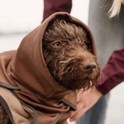 Hurtta Bare Softshell Dog Coat - Chocolate -Perfect Care Shop 247796 247797 247896 247897 247898 247899 bestfriend hurtta bare softshell hundejacke chocolate hs 13 6 1