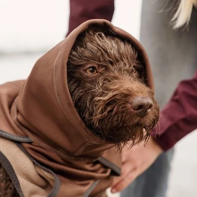 Hurtta Bare Softshell Dog Coat - Chocolate - Image 6