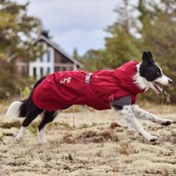 Hurtta Bare Winter Jacket Late Harvest -Perfect Care Shop 247996 247997 247998 247999 248000 248096 248097 hurtta bare winterjacke late harvest hs 09 6