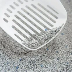 Intersand Classic Pine Forest Scented Cat Litter 8 Intersand Classic Pine Forest Scented Cat Litter -Perfect Care Shop 248818 intersand classic katzenstreu pinienwald hs 03 8