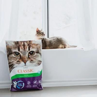 Intersand Classic Pine Forest Scented Cat Litter 4 Intersand Classic Pine Forest Scented Cat Litter - Image 4