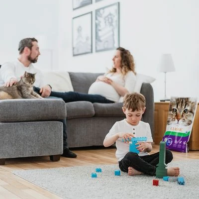 Intersand Classic Pine Forest Scented Cat Litter 5 Intersand Classic Pine Forest Scented Cat Litter - Image 5