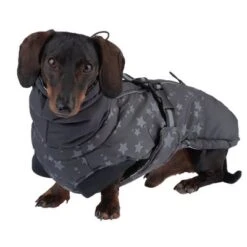 Reflecting Stars Dog Coat -Perfect Care Shop 262001 hundemantel reflecting stars fg 1916 4
