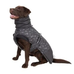 Reflecting Stars Dog Coat -Perfect Care Shop 262100 labrador fg 1982 1
