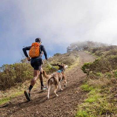 RUFFWEAR Hi & Light Harness, Blue Dusk - Image 2