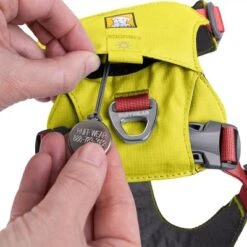 RUFFWEAR Hi & Light Harness, Lichen Green -Perfect Care Shop 262496 262497 262498 262499 262402 262500 ruffwear hinlight harness lichen green hs 09 7