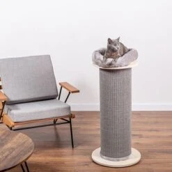 Natural Paradise Scratching Post Jasmine S -Perfect Care Shop 269015 natural paradise kratzs ule jasmin s hellgrau hs 04 6