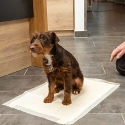 Kooa Training Pad With Bamboo For Puppies -Perfect Care Shop 272296 trainingsunterlage l mit welpe fg 6077 0