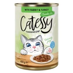 Catessy Chunks In Gravy Or Jelly Saver Pack 24 X 400g -Perfect Care Shop 28348 pla catessy gravy rabbit 400g 9
