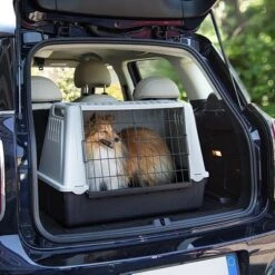 Ferplast Atlas Mini Car Transport Crate -Perfect Care Shop 28935 ferplast atlas car mini dog hs 02 3