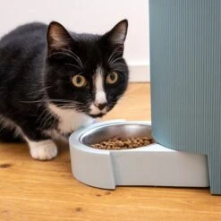 TIAKI Food And Water Dispenser, Light Blue -Perfect Care Shop 302496 duo napf mit katze fg 1019 0