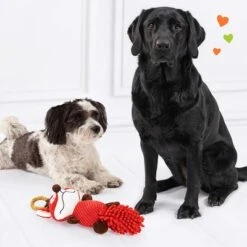 Doglove Dog Toy Fox -Perfect Care Shop 303196 edupet doglove hundespielzeug fuchs hs 05 9