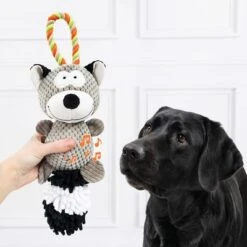 Doglove Dog Toy Raccoon -Perfect Care Shop 303396 edupet doglove hundespielzeug waschbar hs 03 3