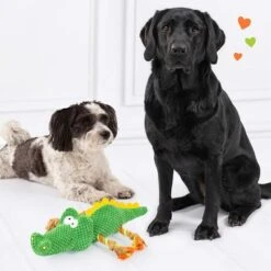 Doglove Dog Toy Crocodile -Perfect Care Shop 303496 edupet doglove hundespielzeug krokodil hs 05 1