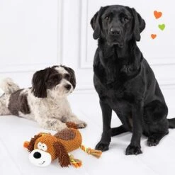 Doglove Dog Toy Pooch -Perfect Care Shop 303596 edupet doglove hundespielzeug hund hs 05 8