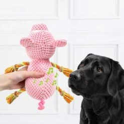 Doglove Dog Toy Pig -Perfect Care Shop 303598 edupet doglove hundespielzeug pferd hs 03 7
