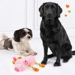 Doglove Dog Toy Pig -Perfect Care Shop 303598 edupet doglove hundespielzeug pferd hs 05 3