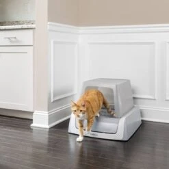 PetSafe® ScoopFree® 8 PetSafe® ScoopFree® -Perfect Care Shop 309797 petsafe scoopfree ultra hs 04 1