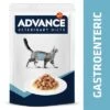 Advance Veterinary Diets Feline Gastroenteric