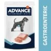 Advance Veterinary Diets Dog Gastroenteric