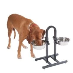 U-Shaped Dog Bowl Stand With Stainless Steel Bowls 11 U-Shaped Dog Bowl Stand With Stainless Steel Bowls -Perfect Care Shop 313525 u hundebar 05 dsc9197 9