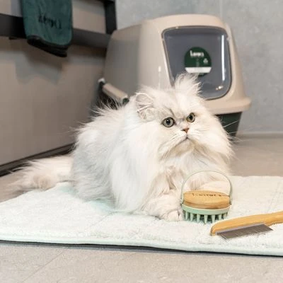 Kooa Antibacterial Toilet Mat 6 Kooa Antibacterial Toilet Mat - Image 6