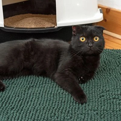 Kooa Dirt-trapping Mat 8 Kooa Dirt-trapping Mat - Image 8