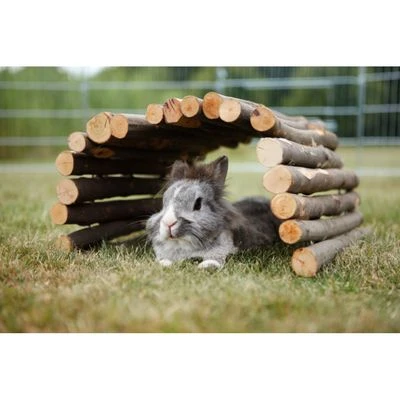 Trixie Bridge 2 Trixie Bridge - Image 2