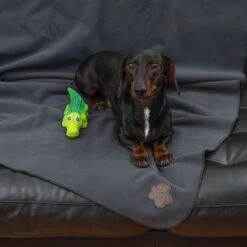 TIAKI Dog Blanket Nelly -Perfect Care Shop 317312 tiaki nelly fg 6059 3