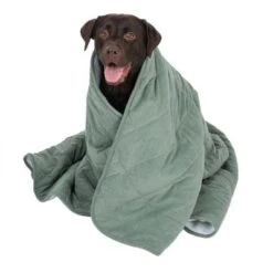 Modern Living Dog Blanket Victoria -Perfect Care Shop 318002 decke victoria fg 5832 3