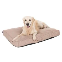 TIAKI Dog Mattress Memory Foam, Beige -Perfect Care Shop 318698 mit hund fg 5093 8