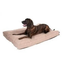 TIAKI Dog Mattress Memory Foam, Beige -Perfect Care Shop 318699 mit hund fg 5104 1