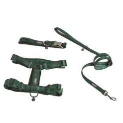 Nomad Tales Blush Harness, Emerald -Perfect Care Shop 323020 nomad tales blush geschirr emerald 06 0