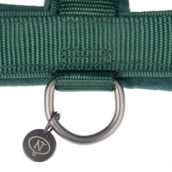 Nomad Tales Blush Harness, Emerald -Perfect Care Shop 323020 nomad tales blush geschirr emerald fg 1286 6