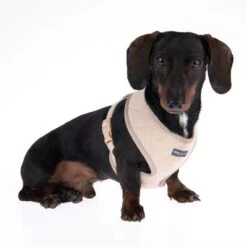 Nomad Tales Calma Harness - Sand -Perfect Care Shop 324711 calma m fg 7280 2