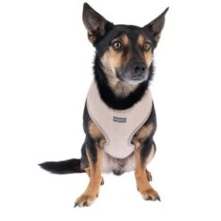 Nomad Tales Calma Harness - Sand -Perfect Care Shop 324713 calma fg 7794 7