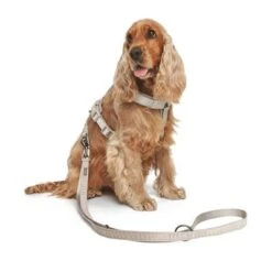 Nomad Tales Blush Dog Leash, Taupe -Perfect Care Shop 325296 325297 nomad tales blush hundeleine taupe hs 04 1