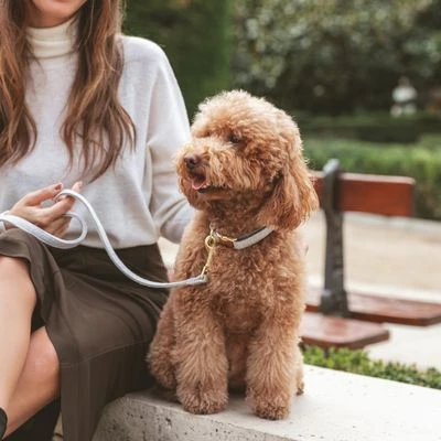 Nomad Tales Calma Collar, Stone 3 Nomad Tales Calma Collar, Stone - Image 3