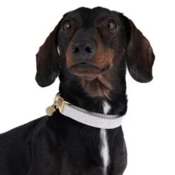 Nomad Tales Calma Collar, Stone 12 Nomad Tales Calma Collar, Stone -Perfect Care Shop 326807 calma m fg 7321 6