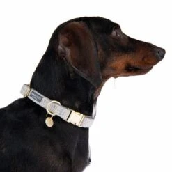 Nomad Tales Calma Collar, Stone 11 Nomad Tales Calma Collar, Stone -Perfect Care Shop 326807 calma m fg 7324 6
