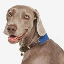 Nomad Tales Bloom Necklace, Sapphire -Perfect Care Shop 327096 nomad tales bloom halsband sapphire 02 2