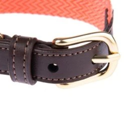 Nomad Tales Bloom Collar, Coral -Perfect Care Shop 328396 328496 328497 328596 328696 nomad tales bloom halsbaender fg 1480 2 1