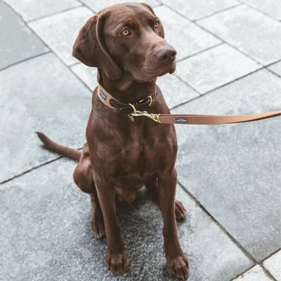 Nomad Tales Bloom Collar, Caramel - Image 2