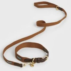 Nomad Tales Bloom Collar, Caramel -Perfect Care Shop 328697 328698 328397 328398 328399 nomad tales bloom halsbaender 03 9
