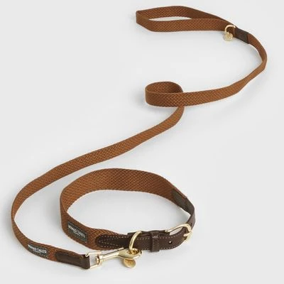 Nomad Tales Bloom Collar, Caramel - Image 6