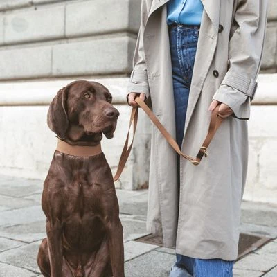 Nomad Tales Bloom Collar, Caramel - Image 7