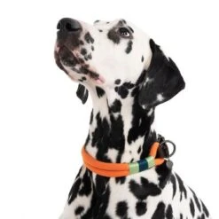 Nomad Tales Spirit Collar, Tangerine -Perfect Care Shop 328997 spirit l fg 7427 6